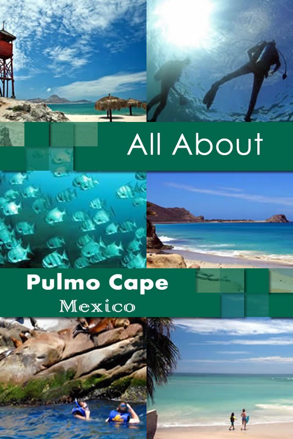 All About Pulmo Cape Mexico