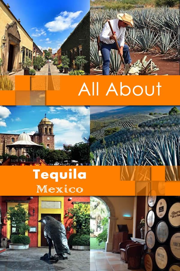 All About Tequila Mexico