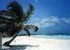 Beach in Mexico