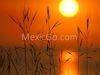 Beach in Mexico
