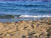 Beach in Mexico