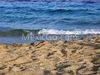 Beach in Mexico